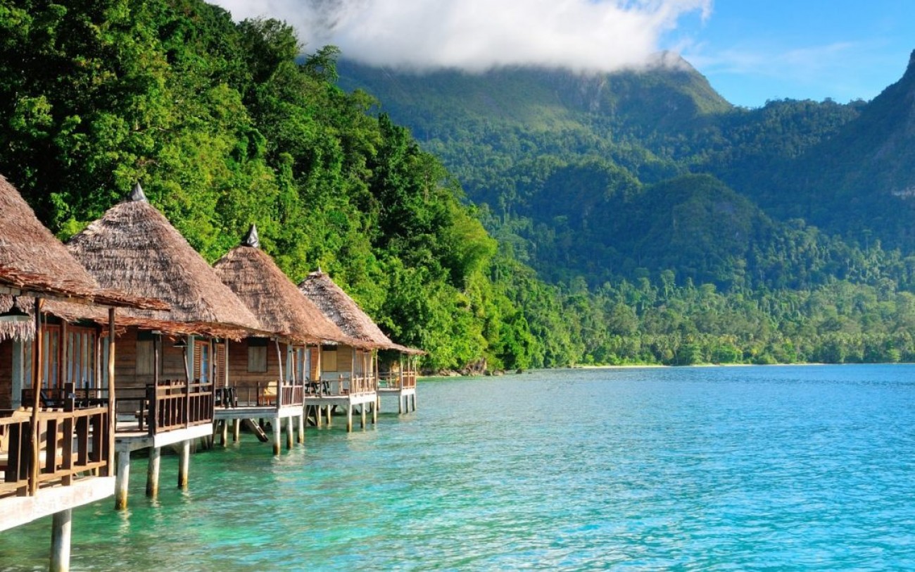 Explore Taman Nasional Manusela Maluku Tengah: Keanekaragaman Hayati Indonesia Timur